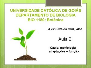 UNIVERSIDADE CATLICA DE GOIS DEPARTAMENTO DE BIOLOGIA BIO