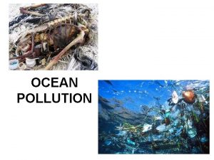 OCEAN POLLUTION How Pollution Gets into the Oceans