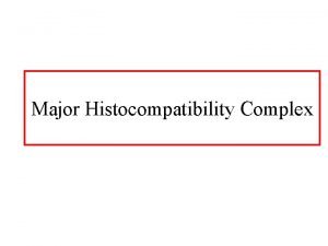 Major Histocompatibility Complex MHC Major Histocompatibility Complex Cluster