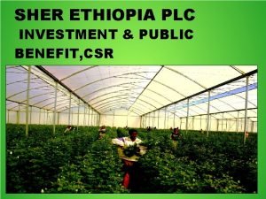 Sher ethiopia plc