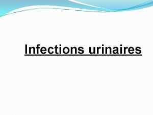 Infections urinaires Schmas de larbre urinaire Lorigine peut