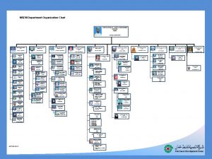 MSEM Department Organization Chart CORPORATE HEALTH SAFETY ENVIRONMENT