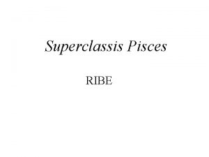 Superclassis Pisces RIBE Klasifikacija Superklasa Pisces se deli