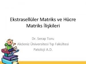 Ekstraselller Matriks ve Hcre Matriks likileri Dr Serap