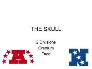 THE SKULL 2 Divisions Cranium Face Most complex