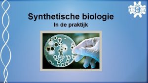 Synthetische biologie In de praktijk Wat is synthetische