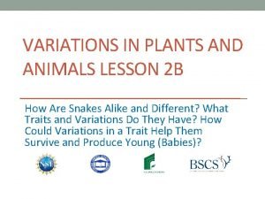VARIATIONS IN PLANTS AND ANIMALS LESSON 2 B