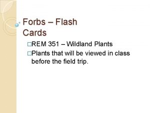 Forbs Flash Cards REM 351 Wildland Plants Plants
