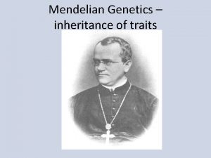 Mendelian Genetics inheritance of traits Why Peas Many