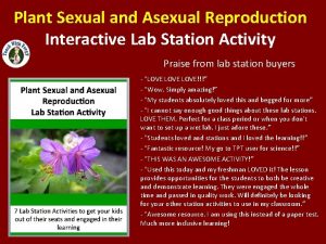 Asexual reproduction lab