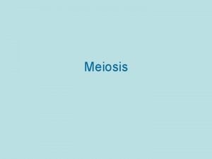 Meiosis occurs in what type of cells