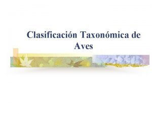 Clasificacin Taxonmica de Aves Phoenicopteriformes n Flamencos Son