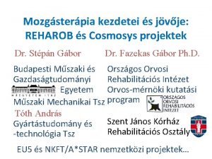 Mozgsterpia kezdetei s jvje REHAROB s Cosmosys projektek