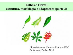 Folhas e Flores estrutura morfologia e adaptaes parte
