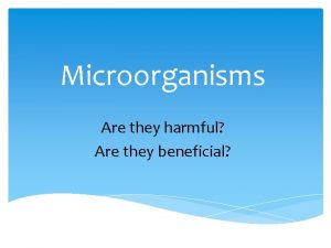 Microorganisms Are they harmful Are they beneficial Microorganisms