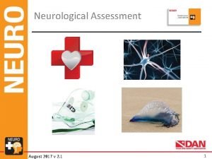 Motor function neurological assessment