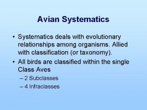 Systematics deals with
