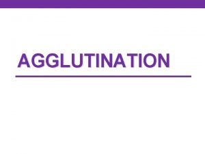 AGGLUTINATION Agglutination The interaction between antibody and a