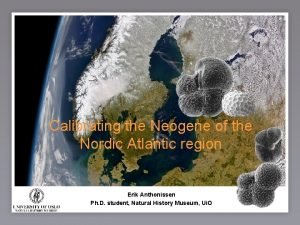 Calibrating the Neogene of the Nordic Atlantic region