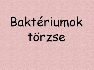 Baktriumok trzse A felismerend fajokat vagy csoportokat ez