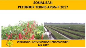 SOSIALISASI PETUNJUK TEKNIS APBNP 2017 DIREKTORAT SAYURAN DAN