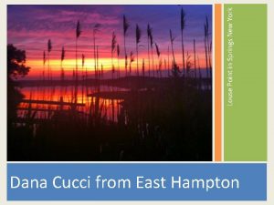 Dana Cucci from East Hampton Louse Point in