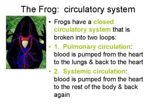 Frog circulatory system open or closed