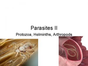 Parasites II Protozoa Helminths Arthropods Learning Objectives 1