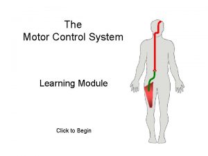 The Motor Control System Learning Module Click to