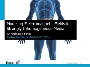 Modeling Electromagnetic Fields in Strongly Inhomogeneous Media An