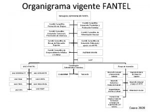 Organigrama vigente FANTEL Consejo de Administracin FANTEL Comit