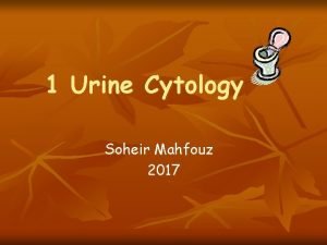 1 Urine Cytology Soheir Mahfouz 2017 NORMAL CELLS