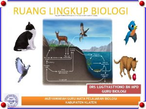 RUANG LINGKUP BIOLOGI DRS LUGTYASTYONO BN MPD GURU