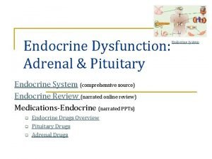 Endocrine Dysfunction Adrenal Pituitary Endocrine System comprehensive source
