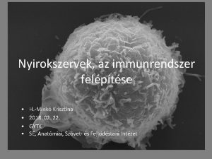 Nyirokszervek az immunrendszer felptse H Mink Krisztina 2018