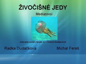 IVOIN JEDY Medzovci Zdravotn sociln fakulta JU v