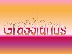 The Grasslands consist of two parts the Savannas