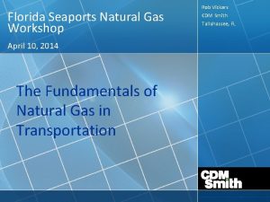 Florida Seaports Natural Gas Workshop April 10 2014