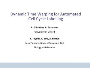 Dynamic Time Warping for Automated Cell Cycle Labelling