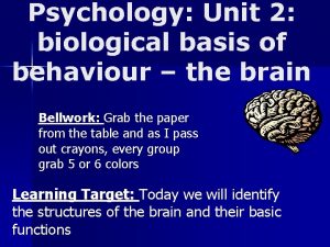 Psychology Unit 2 biological basis of behaviour the