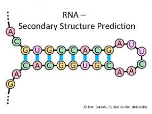 RNA Secondary Structure Prediction Eran Barash CS Ben