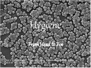 Hygiene From Head to Toe Hygiene From the