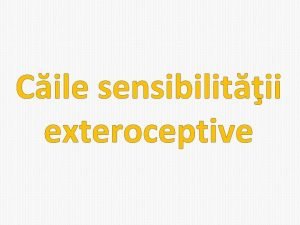 Cile sensibilitii exteroceptive Tipuri Cile sensibilitii exteroceptive se