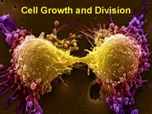 Cell Growth and Division Cell Size l 8