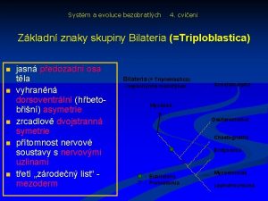 Systm a evoluce bezobratlch 4 cvien Zkladn znaky