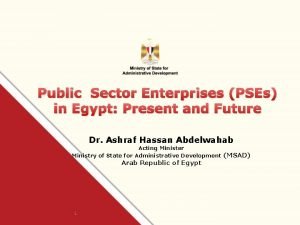 Public Sector Enterprises PSEs in Egypt Present and