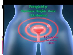 Eje hipotalamo hipofisis ovario utero
