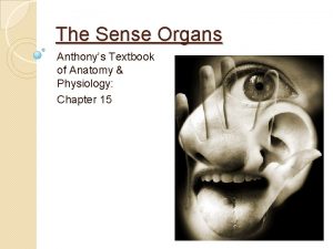 The Sense Organs Anthonys Textbook of Anatomy Physiology