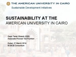 American university sustainability