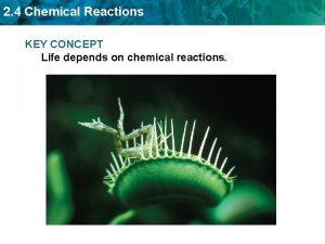 2 4 Chemical Reactions KEY CONCEPT Life depends